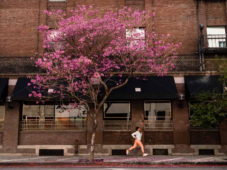 A woman jogging down an urban street with a pink tree in bloom.